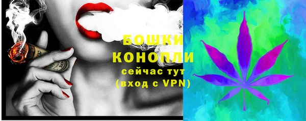 МДПВ Медвежьегорск
