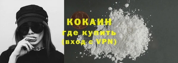 гидра Пересвет