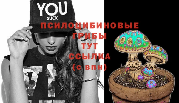 эйфоретик Покачи