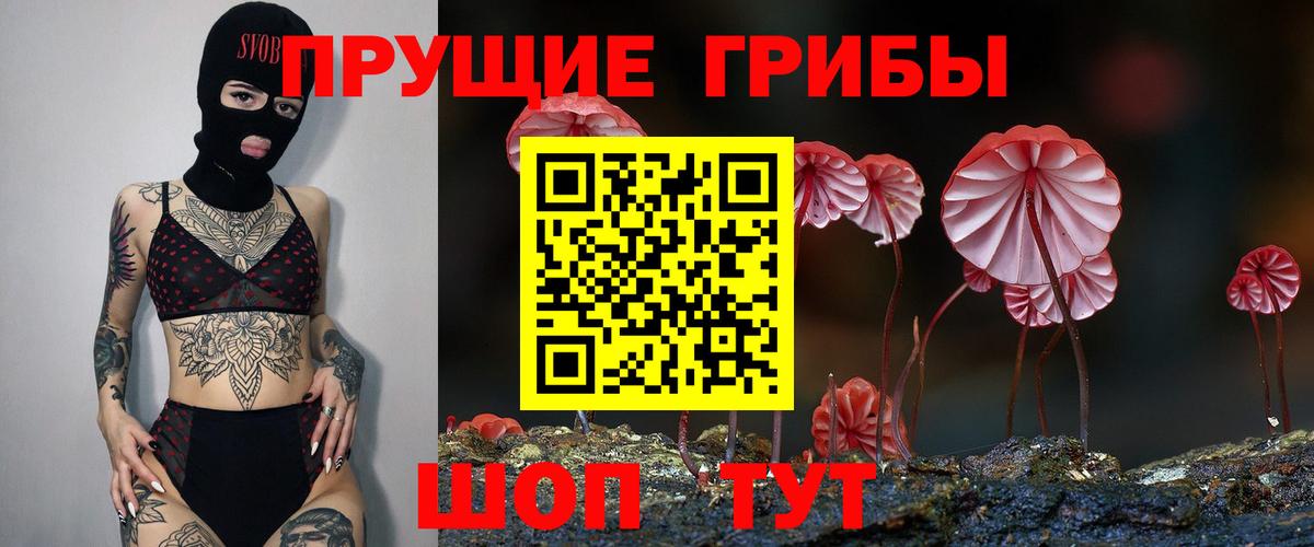 Кинешма  Псилоцибиновые грибы Psilocybine cubensis  Галлюциногенные грибы Cubensis  где можно купить наркотик  Вход с VPN 